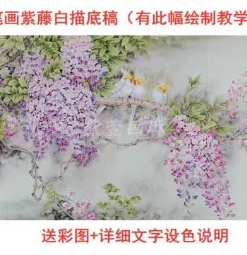 Chinese Painting Line Draft Six-Foot Wisteria Parrot Printout