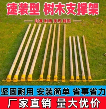 Poplar Support Fixator and Bracket Pole for Landscaping, Stabilizing Trees with Fir, Pine, and Poplar Sticks for Windproofing and Anti-Tipping