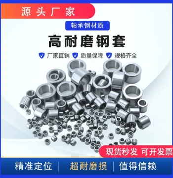 Drill Bushing Drill Jig Wear-resistant Bearing Steel Fixed Quick-change Positioning Sleeve Mold Guide Sleeve Drilling Bit Sleeve Non-standard Customization