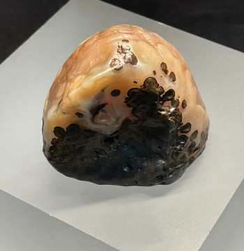 Yingen Old Surface Symbiotic Inner Flower Eye Alashan Strange Stone Natural Agate Size 42*35*31mm