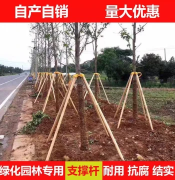 Tree Support Poles for Saplings: Fir, Poplar, and Pine Wood Bracing Frames for Greenery Windproofing and Stabilization, Available in Three-Leg and Four-Leg Designs