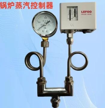 LEFOO Steam Boiler Pressure Switch Controller, Fitting, Buffer Pipe, Tee Joint, Steam Generator Parts