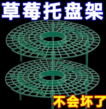 Strawberry Support Stand, 3D Planting Rack with Tray, Fruit Support Frame, Garden Anti-Rot Green Plant Support Bracket