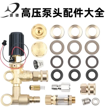 Paichi Ultra-High Pressure Washer Pump Head Repair Parts Pressure Regulating Valve Main and Auxiliary Water Seals Plunger Crankshaft Oil Seal