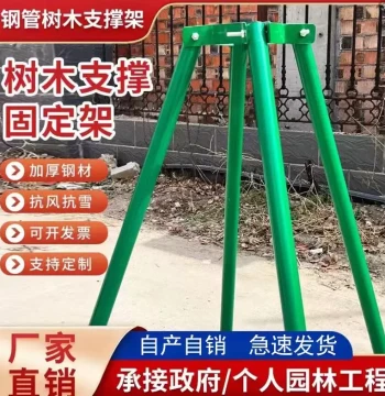 Galvanized Steel Tree Support Frame: Windproof Bracing for Landscaping and Large Tree Sapling Fixation