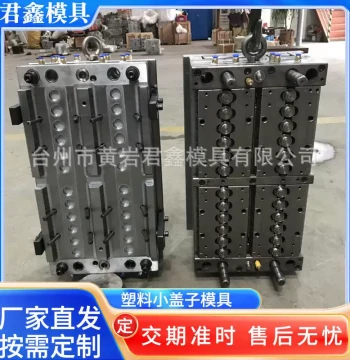 Factory Direct Sales Small Plastic Cap Mold, Bottle Cap Injection Mold Processing