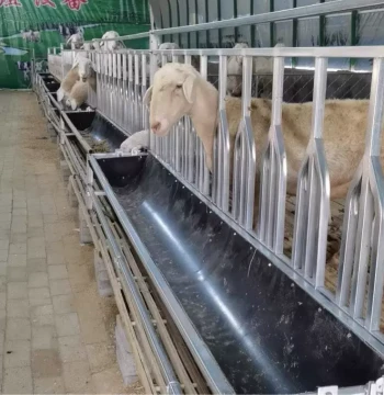 Rotating Sheep Trough: Flip-Over Single-Sided Sheep Feeder, Complete Set with Positioning, Sheep Neck Clamp, All-Square Tube Design