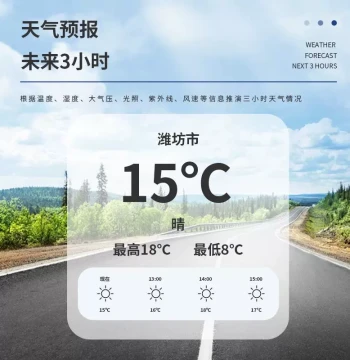 Pocket Wearable Handheld CWP Weather Station, Emergency Meteorological Instrument, Anemometer, Weather Parameter Detector