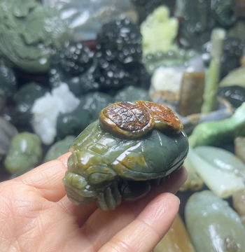 Red-Skinned Green Jade Money Dragon Turtle Hand Piece
