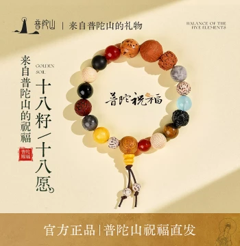 Putuo Mountain Official Eighteen 18 Seed Bracelet Authentic Women's Multi-Gem Bodhi Buddhist Beads Bracelet Men's Birthday Gift