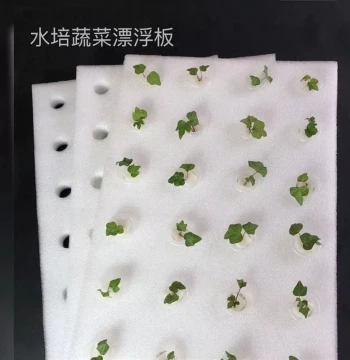 Manufacturer Hydroponic Vessel Floating Board Planting Plate Soilless Cultivation Equipment Water Greenhouse Vegetable Growing Foam Board