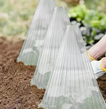 Seedling Protection Cover Large Protective Cover Plant Frost Protection Cover Reusable Seedling Bell Transparent Melon Vegetable Seedlings