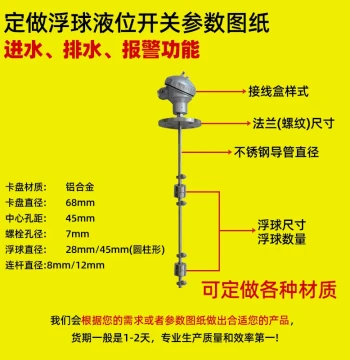 Custom Single-Ball/Double-Ball/Triple-Ball/Non-Standard Reed Switch Water Level Control Sensors