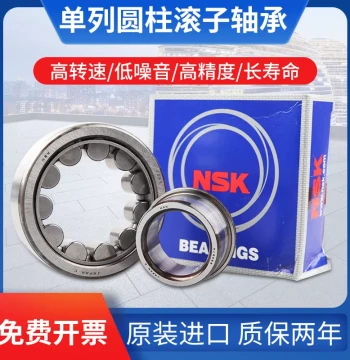Japan Imported NSK Single-Row Cylindrical Roller Bearing NJ309, 310, 311, 312, 313EW, ET, C3, EM