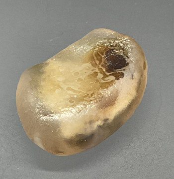Rose Pattern Silver-Root Agate Decorative Strange Stone - Natural Transparent Raw Stone for Collection, Size 24*18*9mm