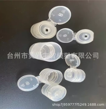 Bottle Cap Mold Manufacturer: Flip-Top Mold, Hand Soap Plastic Mold