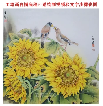 Sunflower and Black-Headed Grosbeak Line Drawing for Fine Brush Painting