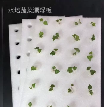 Manufacturer Hydroponic Vessel Floating Board, Planting Board, Soilless Cultivation Equipment, Water Greenhouse Vegetable Growing Hydroponic Foam Board