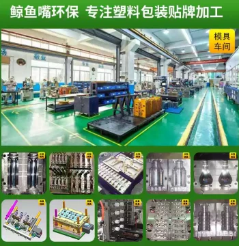 Custom Mold for Irregular Plastic Bottles, Blow Molding Design and Processing, Manufacturer of Plastic Blow Molds, Hollow Blow Molding