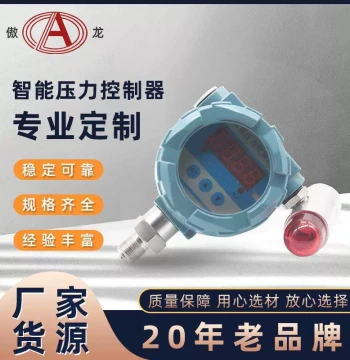 Intelligent Pressure Display Controller with Sound and Light Alarm, Smart Digital Instrument Supply for Gas Pressure Control