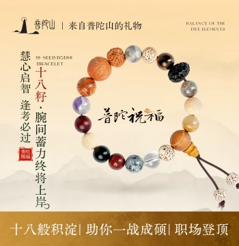 Putuoshan Flagship Store Bodhi Eighteen-Seed Meaningful Bracelet: Good Luck Lotus Handchain Buddhist Beads Birthday Gift for Success
