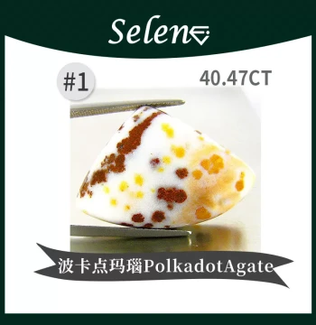 SELENE Rare Polkadot Agate Chalcedony Fossil Polkadot Agate Loose Stone for Collection and Setting