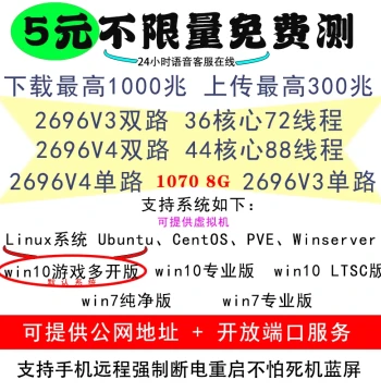 Remote Computer Rental - Single/Dual-Path E5 Server Lease, Physical Machine, Cloud PC, Virtual Machine, Gaming Emulator