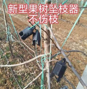 Fruit Tree Branch Pulling and Shaping Device, Apple Tree Branch Bending Tool, New Style Branch Shaping Artifact