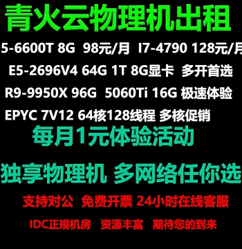 Remote Computer Rental, E5 Single/Dual Path Server Physical Machine Leasing for Game Emulators, Multi-Opening, Rendering, and Computing