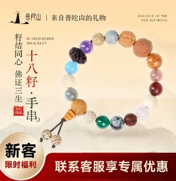 Authentic Putuo Mountain 18-Seed Bracelet for Women, Multi-Gem Bodhi Prayer Beads, Cultural Play Bracelet for Men, Birthday Gift