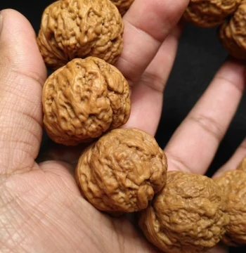 3.3 Yunnan Wild Sarira Golden Toad Lump Ingrow Iron Walnut Bracelet, Handheld, Low Profile Flat Bottom, High Density