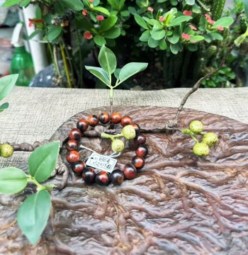 Large Red Rosewood Same Material Black Floating Red No. 30 Buddhist Prayer Bead Bracelet, 1.2×17 Beads, Cochin Rosewood Redwood Buddhist Prayer Beads