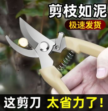 Stainless Steel Pruning Shears for Branch Trimming, Fruit Picking, Gardening Scissors for Trees, Flowers, and Grafting Tools