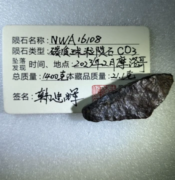 Carbonaceous Chondrite Meteorite CO3 NWA16108 Tail Cut Specimen 21.1g Yellow CAI Olivine Fragments