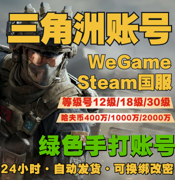 Delta Force Finished Account - Levels 12/18/30/33 Havoc Coin Starter/Smurf Accounts for Steam CN Server