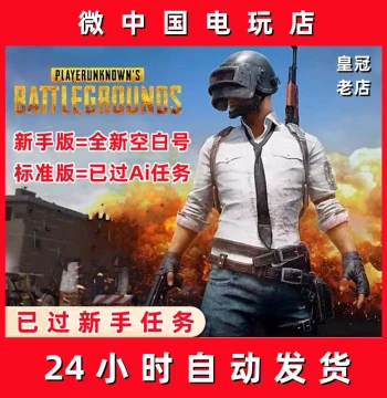 PUBG Battlegrounds Chicken Dinner Steam New Account - AI Training Ground Passed, Matchmaking Account, China Region Smurf