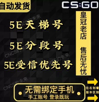 5e CSGO Accounts: Trusted Priority Smurfs, Low-Rank Accounts, Risk-Cleared Accounts, and CSGO2 Ranked Matches