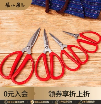 Zhang Xiaoquan Stainless Steel Household Scissors - Small Precision Scissors for Paper Cutting, Thread Trimming, and Kitchen Use with Pointed Tips, Authentic Product