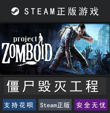 Project Zomboid Steam PC Chinese Genuine Version - Steam Game Proxy Service