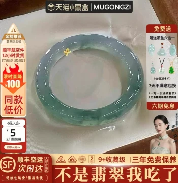 Mu Gongzi 'Begonia Spring Sleep' Premium Burmese Jadeite Ice-Transparent Water Floating Flower Bangle for Women - Authentic Treated Jadeite