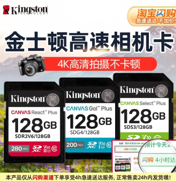 Kingston Official 128GB Camera Memory Card, 256GB HD 4K Universal SD Card for Sony, Canon, Fuji, Nikon