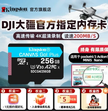 Kingston TF Card 256GB - High-Speed Memory Card for DJI Pocket 4/3, Action 5/6 Pro, Insta360, Dash Cams