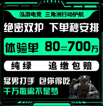 Delta Force Escort & Companion Service: Aerospace Top-Secret Map Clearing, Special Red-Zone Gambling Fun, PC & Mobile Game Boosting