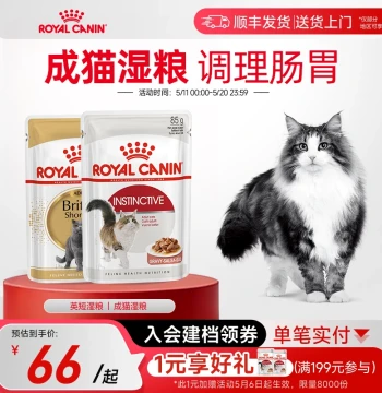 ROYAL CANIN Adult Cat Wet Food - Mousse or Chunky Gravy, 85g Complete Meal Pouches, Official