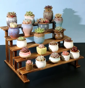 Solid Wood Display Rack for Succulents, Desktop Organizer for Figures, Pop Mart Blind Boxes, Dolls, and Plants, Tiered Small Flower Stand