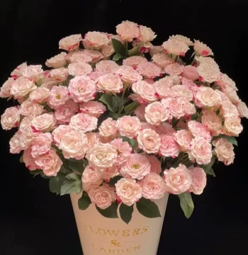 Refracted Multi-Head Rose Fresh Flower Bouquet, Direct from Yunnan Base, Hydroponic Lily Flowers for Home, Same-City Delivery for 520 Valentine's Day