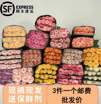 Fresh Cut Roses, Lilies, Sunflowers, and Hypericum Berries - Direct from Kunming, Yunnan Base for Home Water Arrangements