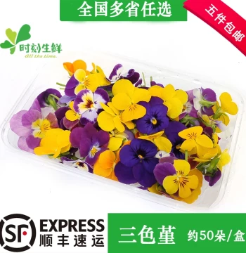 Fresh Pansies, Zanthoxylum, Golden Willow Buds, Dichondra, Mint Tips, and Mango Leaves Mixed Edible Flowers for Hotel Plating and Garnish