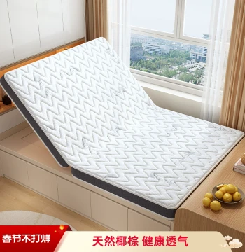 Natural Coconut Palm Mattress - Foldable Tatami, Custom Sizes, Hard Support for Home/Bedroom, Children's Spine Care, Student Use