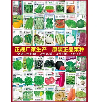 Vegetable Seed Variety Pack - Cilantro, Tomato, Chili, Spinach, Cucumber, Greens, Lettuce, Radish, Cabbage for Year-Round Planting